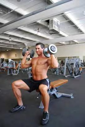 Seated Shoulder Press Seated on a bench holding dumbbells at your shoulders palms facing away from you