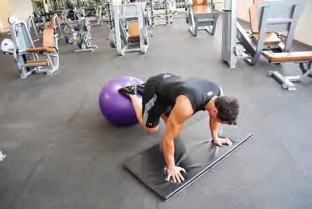 Stability Ball Curl Ups Start in a push up position with your feet on a stability ball Tuck your knees into your chest rolling the ball towards