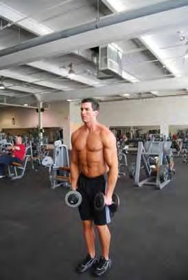 Standing Lateral Raise Standing with feet shoulder width apart holding dumbbells Start with arms relaxed at your sides Maintain an upright posture throughout the exercise Raise dumbbells to