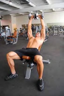 Tate Press Lying on an incline bench with dumbbells in each hand Palms facing away from you Start with arms in a vertical extended position elbows flared to your sides