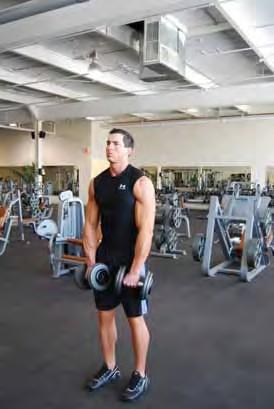 Upright Row Standing with feel shoulder width apart holding two dumbbells Start with arms in front of your body and your palms facing you