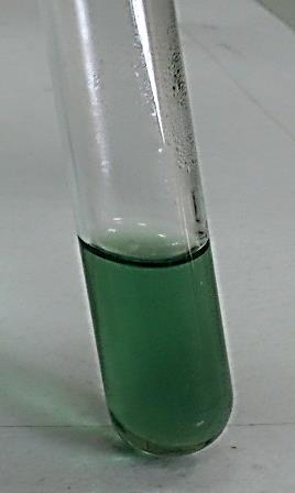 Method: 1. Put 2 ml of a sample solution in a test tube. 2. Add 2 ml of Bial's reagent to each tube.