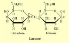 Carbohydrates Simple Complex One unite