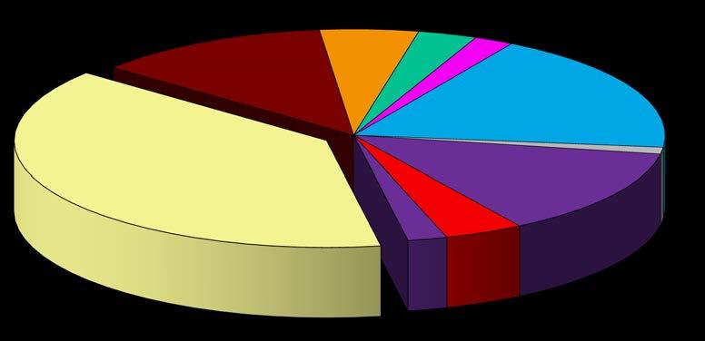 The pie chart shows sources of County adults health care coverage.