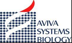 Aviva Systems Biology 5754 Pacific Center Blvd., Suite 201, San Diego, CA 92121, USA Tel: 858-552-6979 Fax: 858-552-6975 www.avivasysbio.com Email: info@avivasysbio.