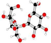 molecular formula C12H22O11 Major index which describes metabolism of carbohydrates, is a sugar level in blood.
