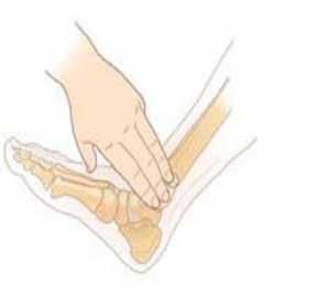 CG13 VERSION 1.1 11/16 3.15 Distal Tibia 3.15.1 Adults 3.15.1.1 The insertion site is located approximately 3cm proximal to the most prominent aspect of the medial malleolus.