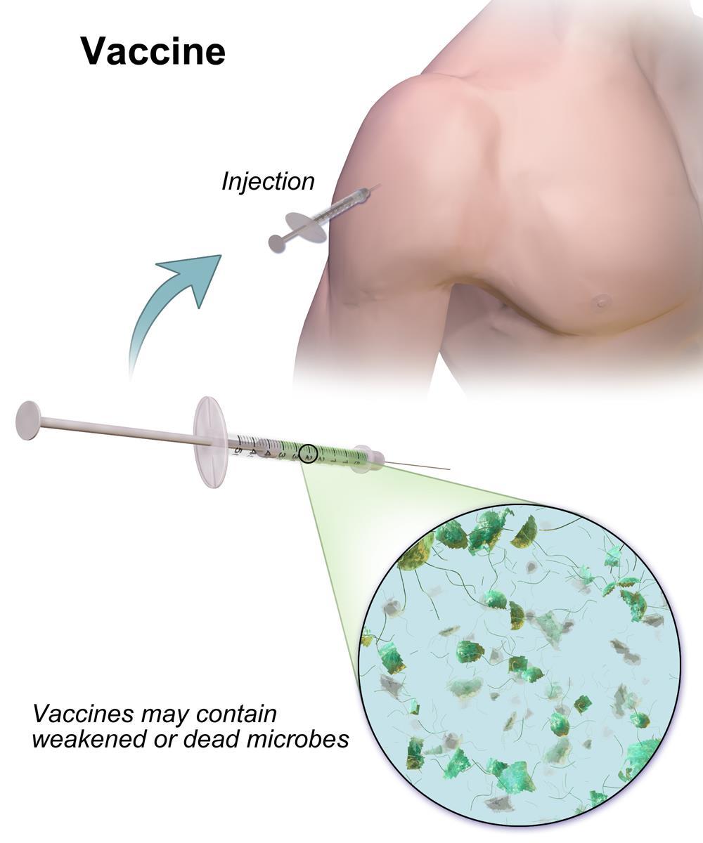 Vaccine Design and Manufacturing Liting