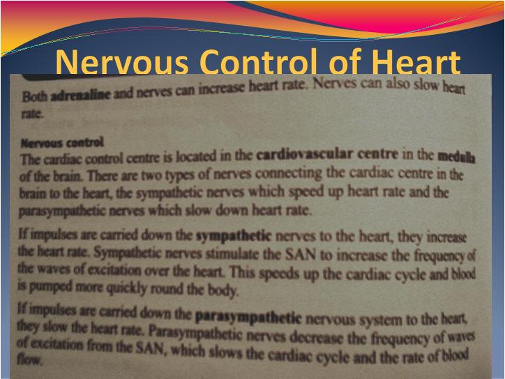 squeezed out into the ventricles from the atria, before they start contracting The