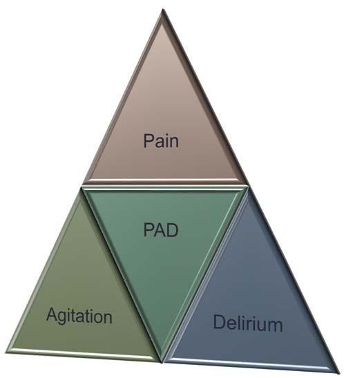 Outline PAD Framework Pain analgesia Agitation sedation Delirium numerous strategies Sedation pharmacology Selected evidence to support a
