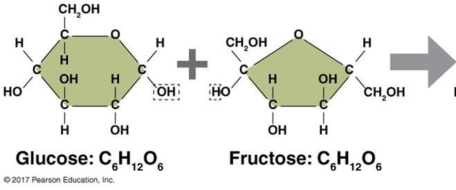 Carbohydrates are composed of monosaccharides: Disaccharides C. Disaccharides 1.