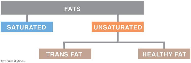 Your diet contains several different kinds of fats: Dietary lipids 2.11) Your diet contains several different kinds of fats.