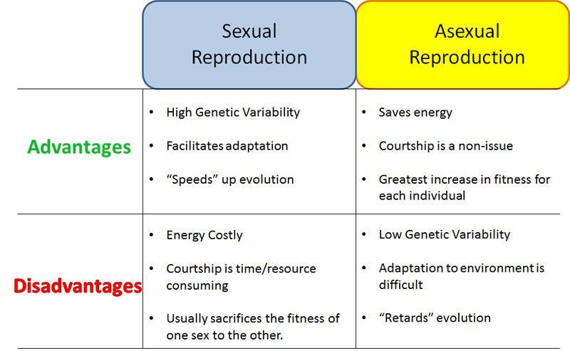 The costs of sexual reproduction however clearly outweigh the costs as