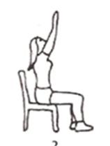 Modified Sun Salutations Position 1 Position 2 Sit on a firm chair. Breathe in deeply as you lift your arms to chest level.