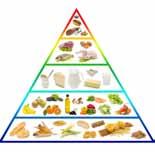 What you must learn State the different food groups needed for a healthy balanced diet List the benefits of healthy eating State the effects of eating strong smelling foods on your own personal