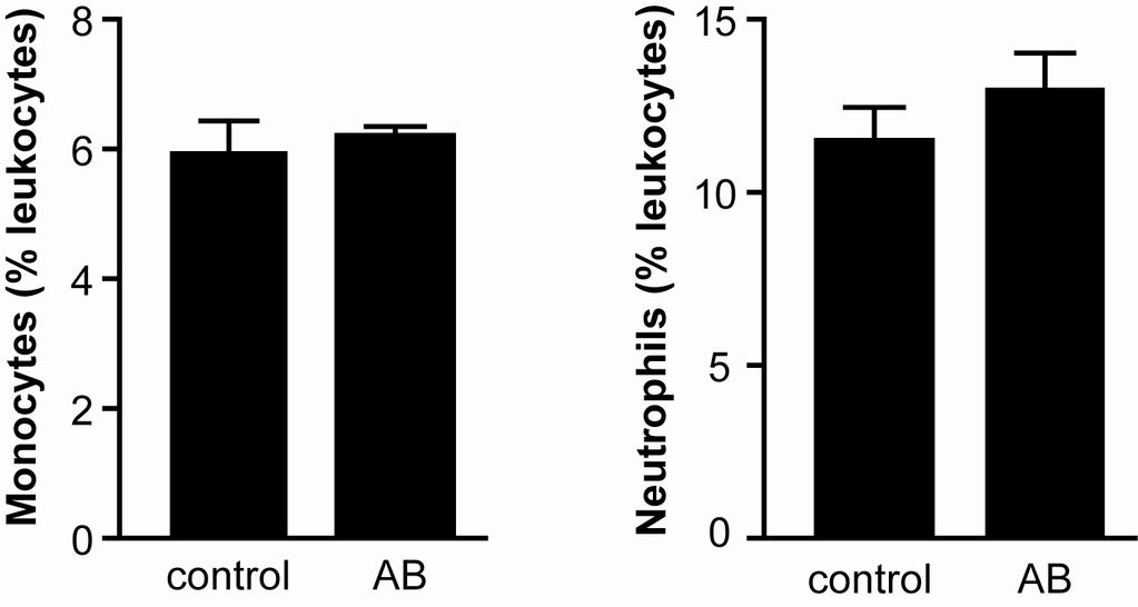 Fig. S7. Apoptotic bodies (AB) do not mobilize monocytes or neutrophils to peripheral blood.