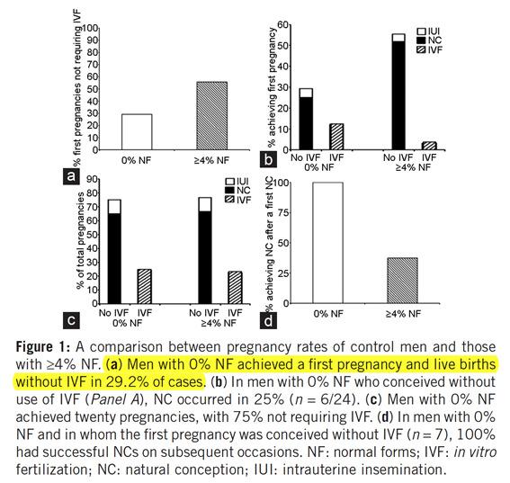 CONCENTRATION and Pregnancy with SEX Slama et al. Time to pregnancy and semen parameters Human Reproduction 2002 17(2):503-515 MORPHOLOGY and Pregnancy via SEX Slamaet al.