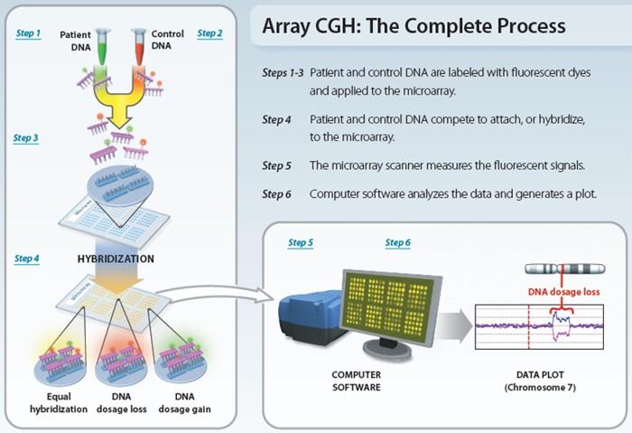 Array-CGH Protocol http://www.nature.