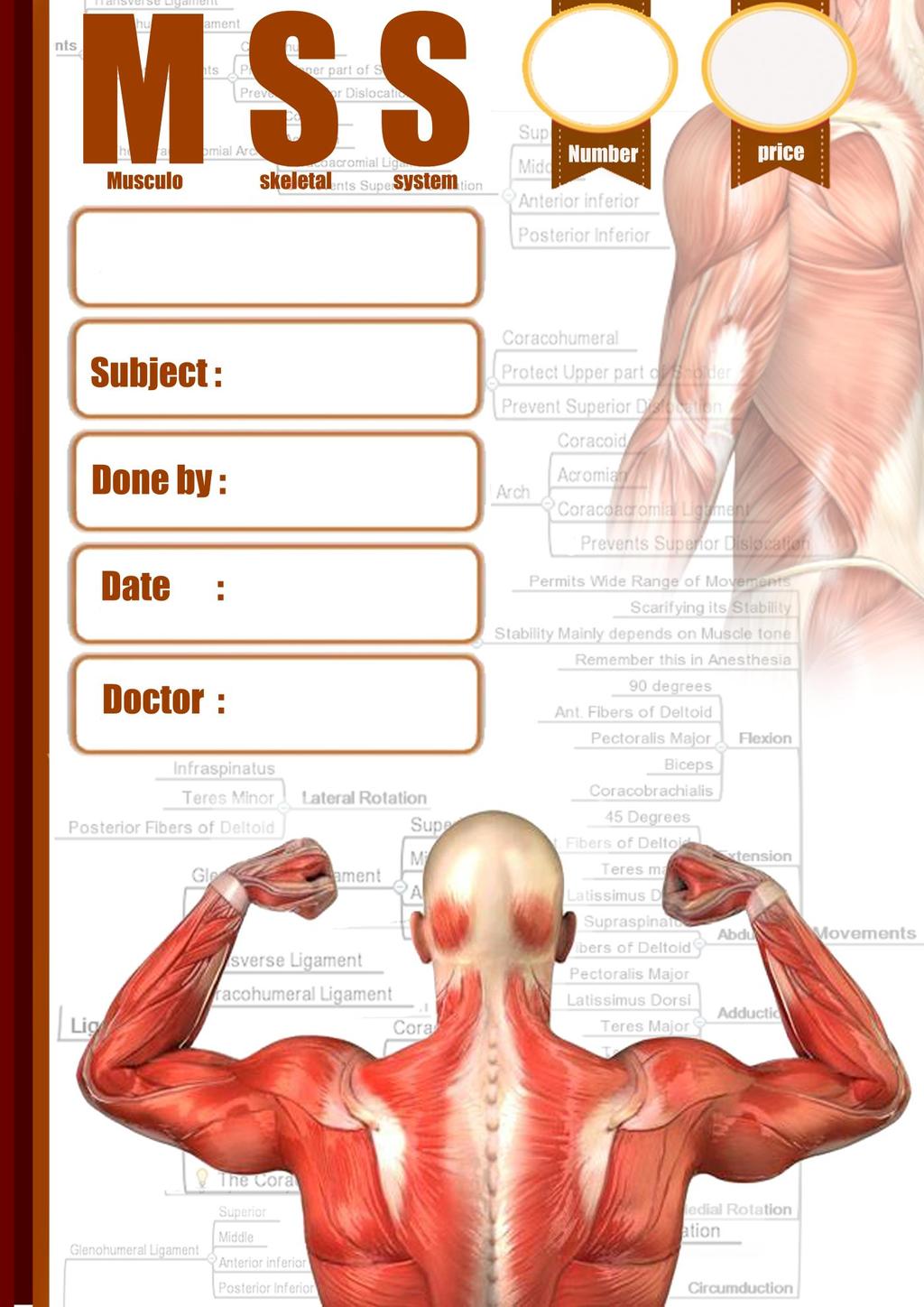 # 20 physiology Muscle tissue Ahmad