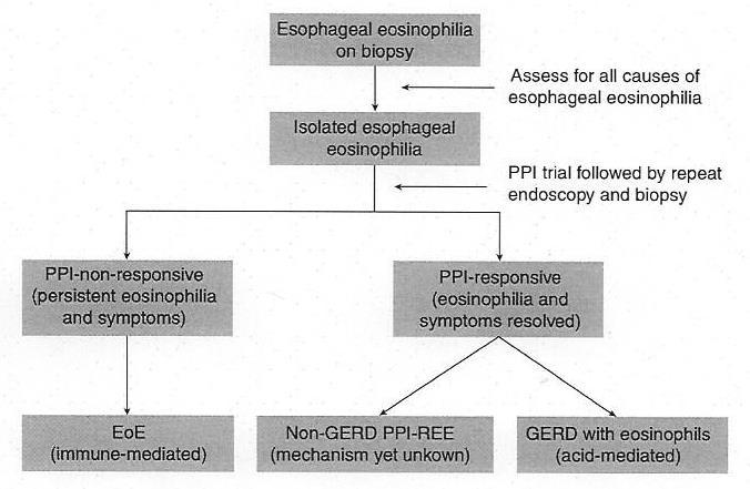 An Approach to Eosinophilic