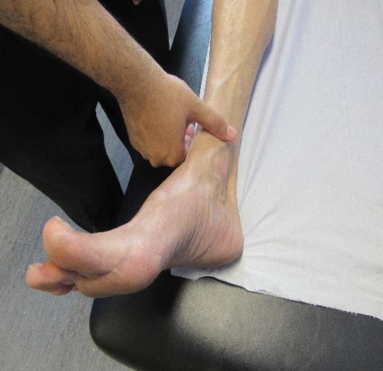 Lower Limb Check Lower limb