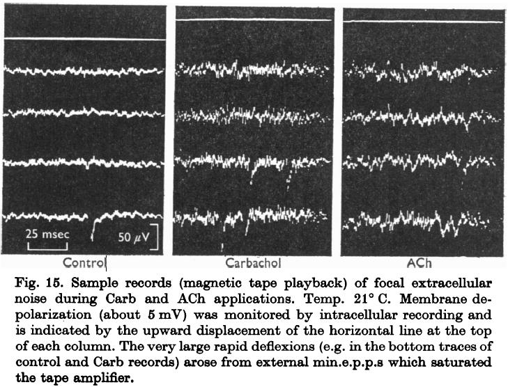 Figure 15: Carbachol Noise vs. ACh Noise Noise after carbachol treatment is faster than ACh noise.