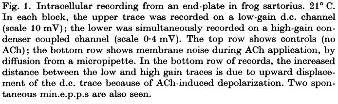 Treated with ACh ACh-induced noise on membrane potential occurs regardless of: Distance of pipette from