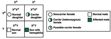 Both male and females can be carriers of autosomal disorders 2. Only females can be carriers of sexlinked disorders 3.