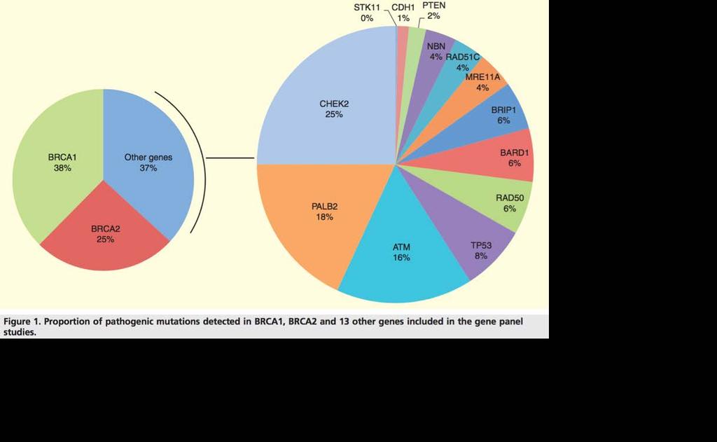15 studies (10,745 patients) 14.1% yield 9.0% BRCA1/2 5.