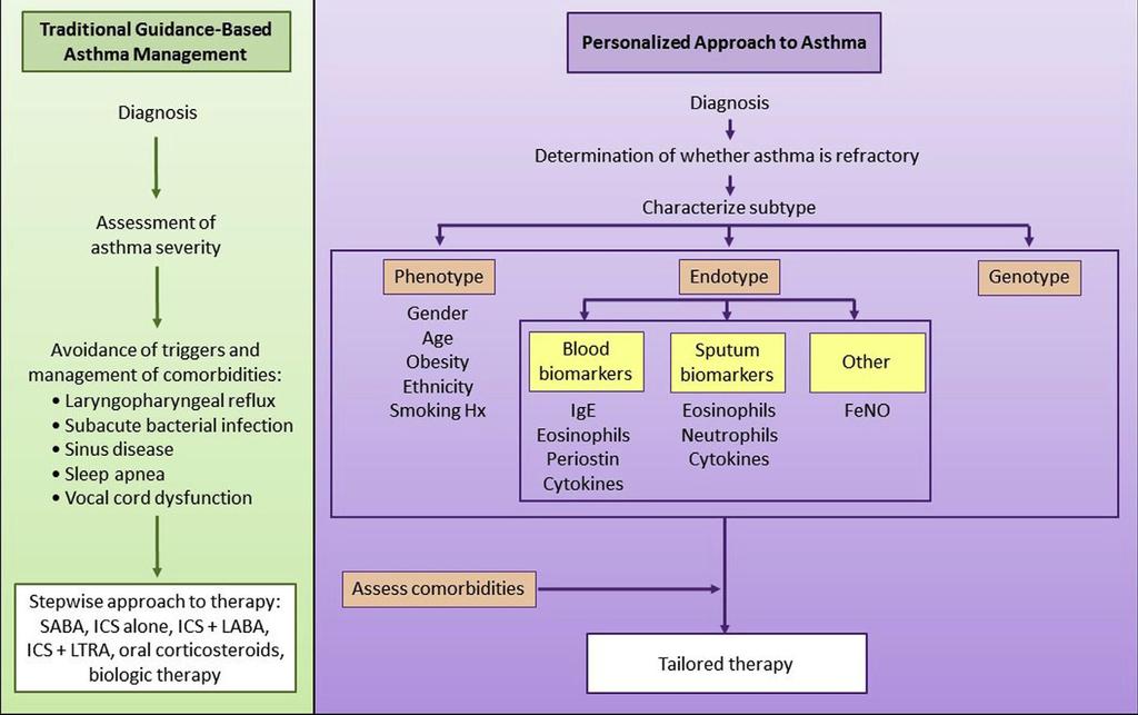 Approaches to Asthma Management