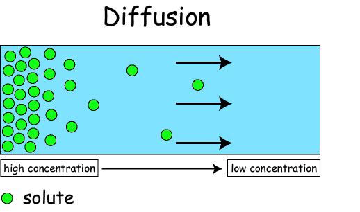 Movement of molecules from high concentration to low