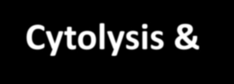 Cytolysis &