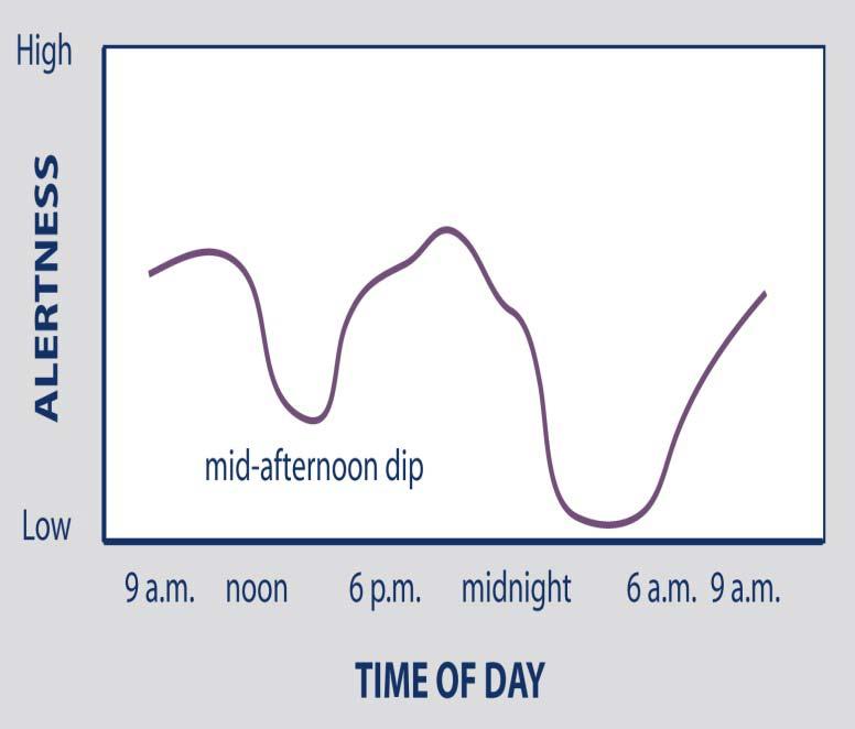 Sleep is Regulated by Two Body Systems Sleep/Wake Restorative Process Balances Sleep