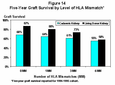HLA Mismatch Reduces Graft Survival % Grafts
