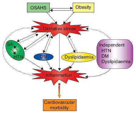 OSAS, oxidative stress and