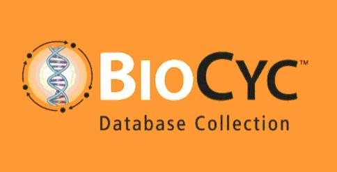 BioCyc Pthwy/Genome Dtses Includes BioCyc Pthwy/Genome dtses from the Bioinformtics Reserch Group t SRI Interntionl, used under license. http://www.iocyc.