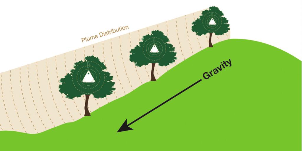 On sites with high levels of attack, the 1st year of application generally requires application of an insecticide to reduce the initial population. Under certain conditions (e.g., significant pest density, small orchards, strong winds, or late placement of dispensers), mating disruption may not guarantee the required effectiveness.