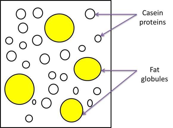 Example of emulsification Milk and butter Milk is an emulsion with fat globules (particles) dispersed in an aqueous (watery) environment The fat droplets of milk do not coalesce as they are