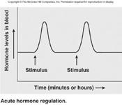 17-9 Changes in Hormone Secretion Through Time a) Chronic hormone regulation.