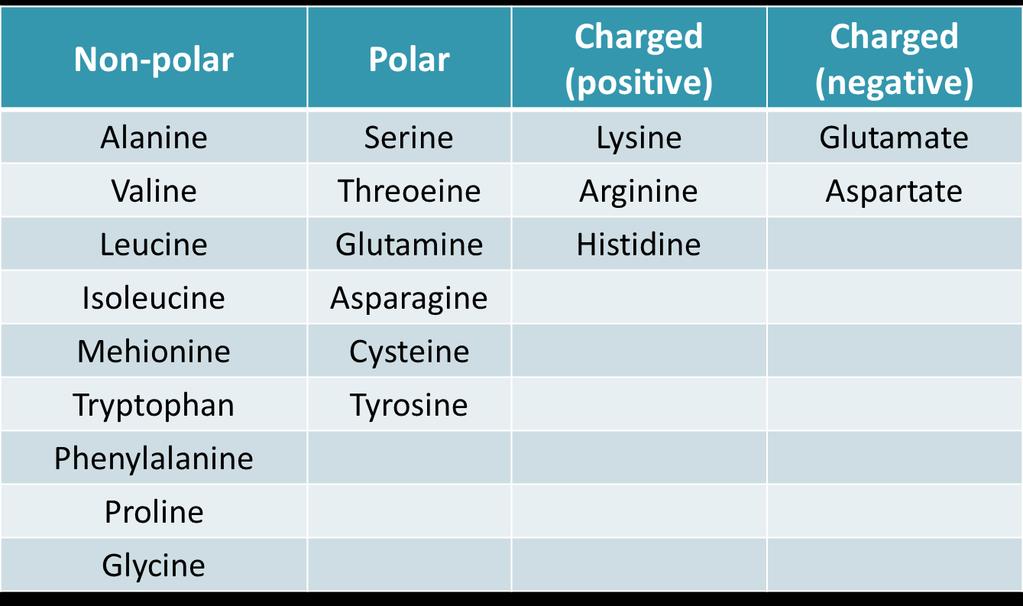 The charged amino acids: Glutamate, Aspartate, Lysine, Arginine and Histidine. Aspartic acid has an acidic group. Glutamic acid has also an acidic group.