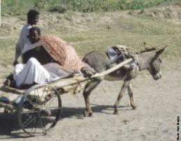 WOMEN S TRANSPORT ISSUES IN DEVELOPING COUNTRIES Travel long distances to