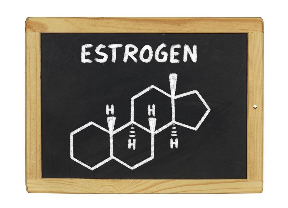 High Cortisol and Estrogen A defect in cortisol (including a deficiency) can lead to high estrogen It is interesting to note that progesterone and testosterone work together to regulate LH