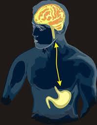 Conversely The brain-gut connection affect levels of gut function Neurotransmitters made by the gut is one mechanism that the gut uses to communicate with the brain Excess cortisol depletes good