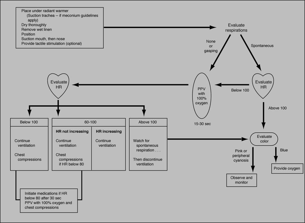 19 Steps in Resuscitation 20 Evaluate Respiratory Effort Evaluate respirations None or gasping Spontaneous PPV with 100% O2 Below 100 Evaluate heart