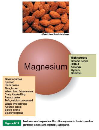 Magnesium Func:on Par:cipates in more than 300 types of enzyme- driven reac:ons