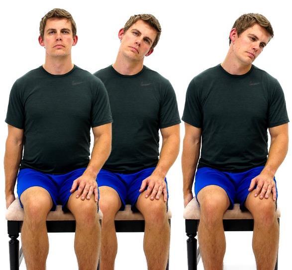 Posterior Scalene Stretch While sitting in a chair, hold the seat with one hand.