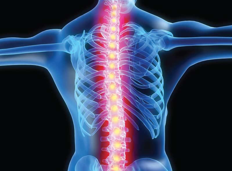 Spine treatment and surgery London Bridge Hospital performs a range of spine surgery for a wide variety of back and spinal problems.