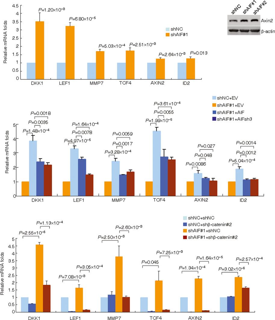 Shao-Ming Shen et al Role of I in MT of cancers MO reports igure V3. I regulates WNT/b-catenin signaling target genes.