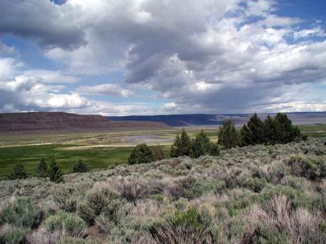 In the seven Oregon counties that contain Sage Grouse habitat, there are only 900 homes located in core and low-density habitat.