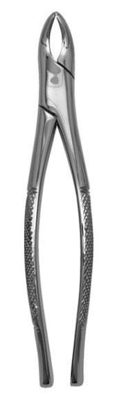 Extracting Forceps USA
